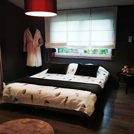 La Constance Σπίτι διακοπών Chievres